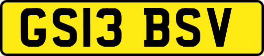 GS13BSV