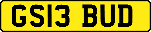 GS13BUD
