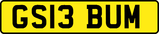 GS13BUM
