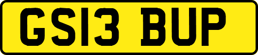 GS13BUP