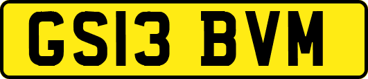 GS13BVM