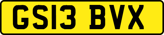 GS13BVX