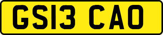 GS13CAO