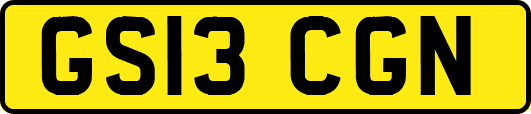 GS13CGN