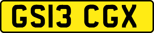 GS13CGX