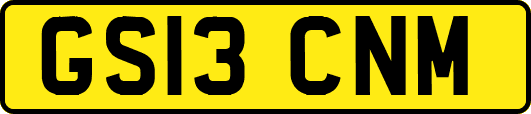 GS13CNM