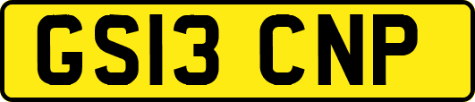 GS13CNP