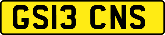 GS13CNS