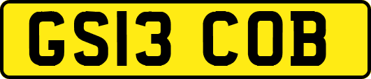 GS13COB
