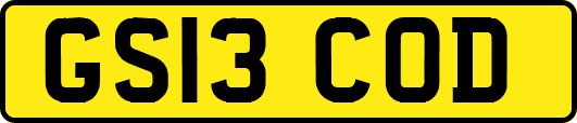 GS13COD