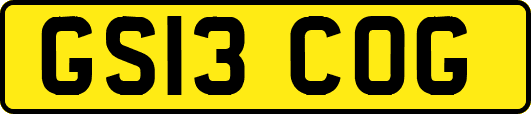 GS13COG