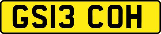 GS13COH