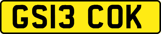 GS13COK