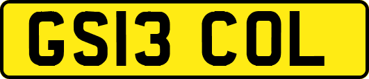 GS13COL