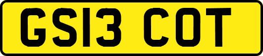 GS13COT
