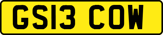 GS13COW