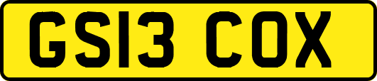 GS13COX