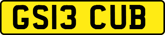 GS13CUB
