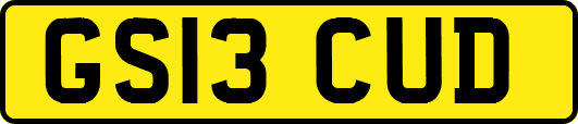GS13CUD