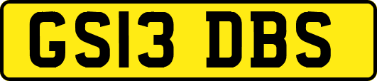 GS13DBS