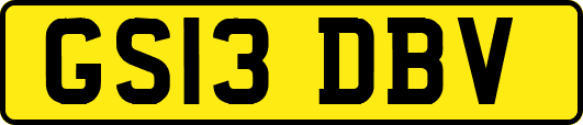 GS13DBV