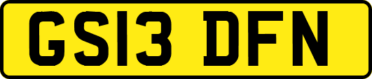 GS13DFN