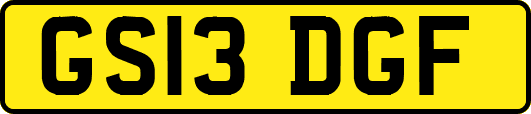 GS13DGF