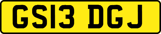 GS13DGJ