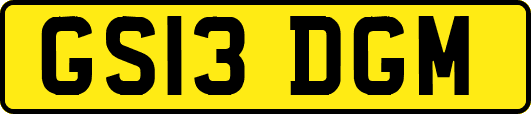 GS13DGM