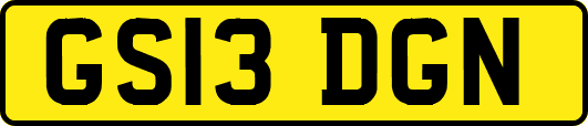GS13DGN