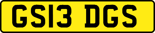 GS13DGS