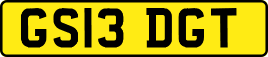 GS13DGT