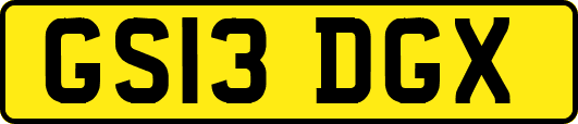 GS13DGX