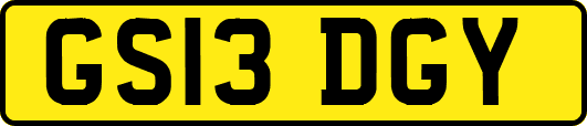 GS13DGY