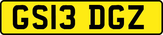 GS13DGZ