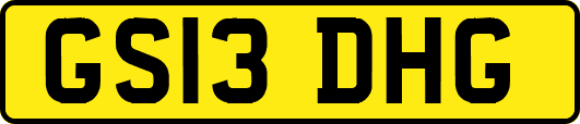 GS13DHG