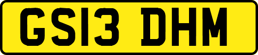 GS13DHM