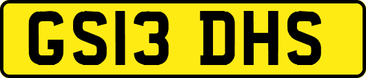 GS13DHS