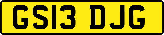 GS13DJG