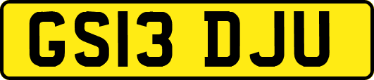GS13DJU