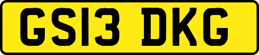 GS13DKG