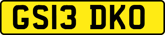 GS13DKO
