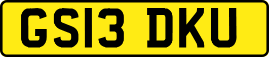 GS13DKU