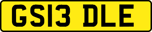 GS13DLE