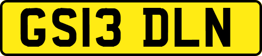 GS13DLN