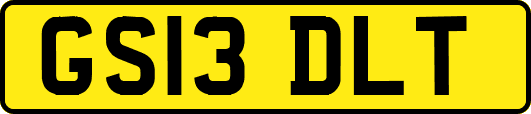 GS13DLT