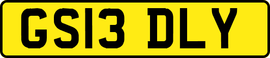 GS13DLY