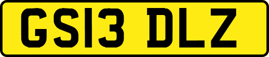GS13DLZ