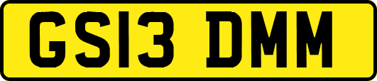 GS13DMM