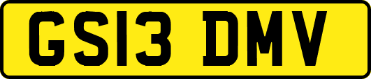 GS13DMV